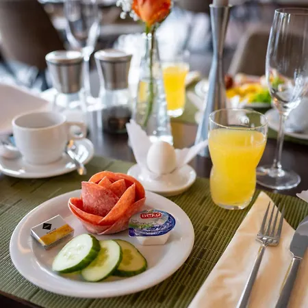 Hotel Rheingarten 4*