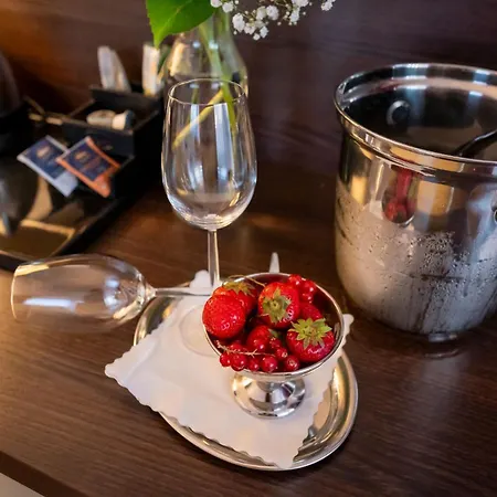 Hotel Rheingarten 4*