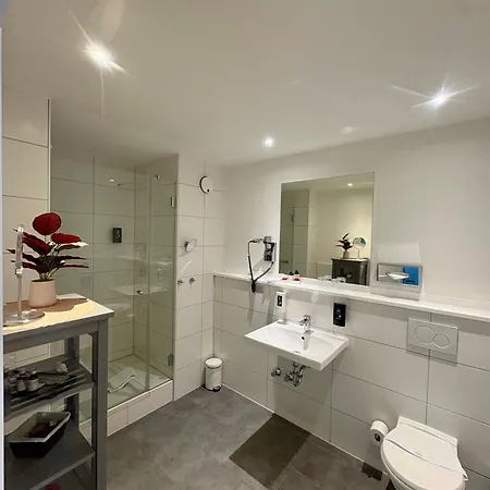 Rheingarten Otel 4*