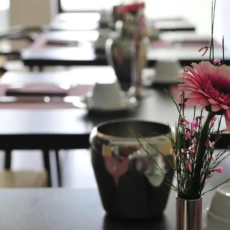 Rheingarten فندق 4*