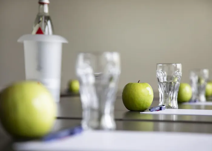 日恩盖特恩酒店 4*