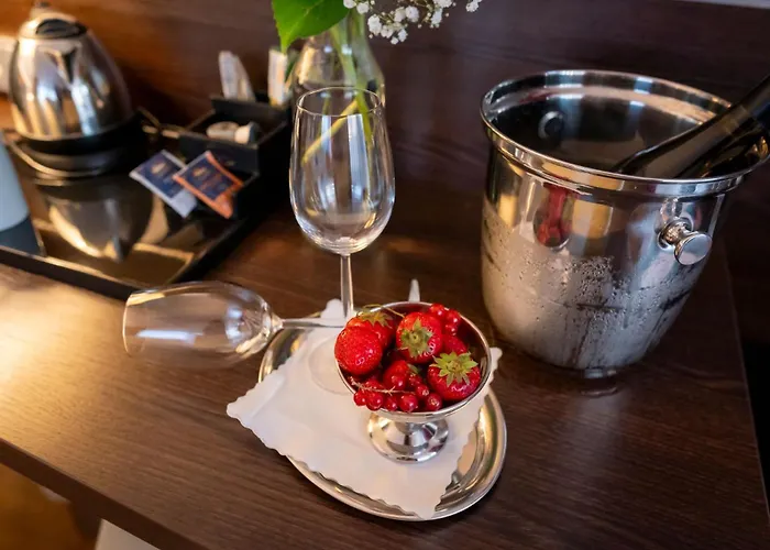 Hotel Rheingarten 4*