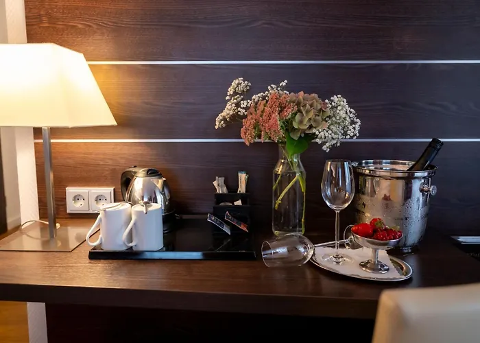 Hotel Rheingarten 4*